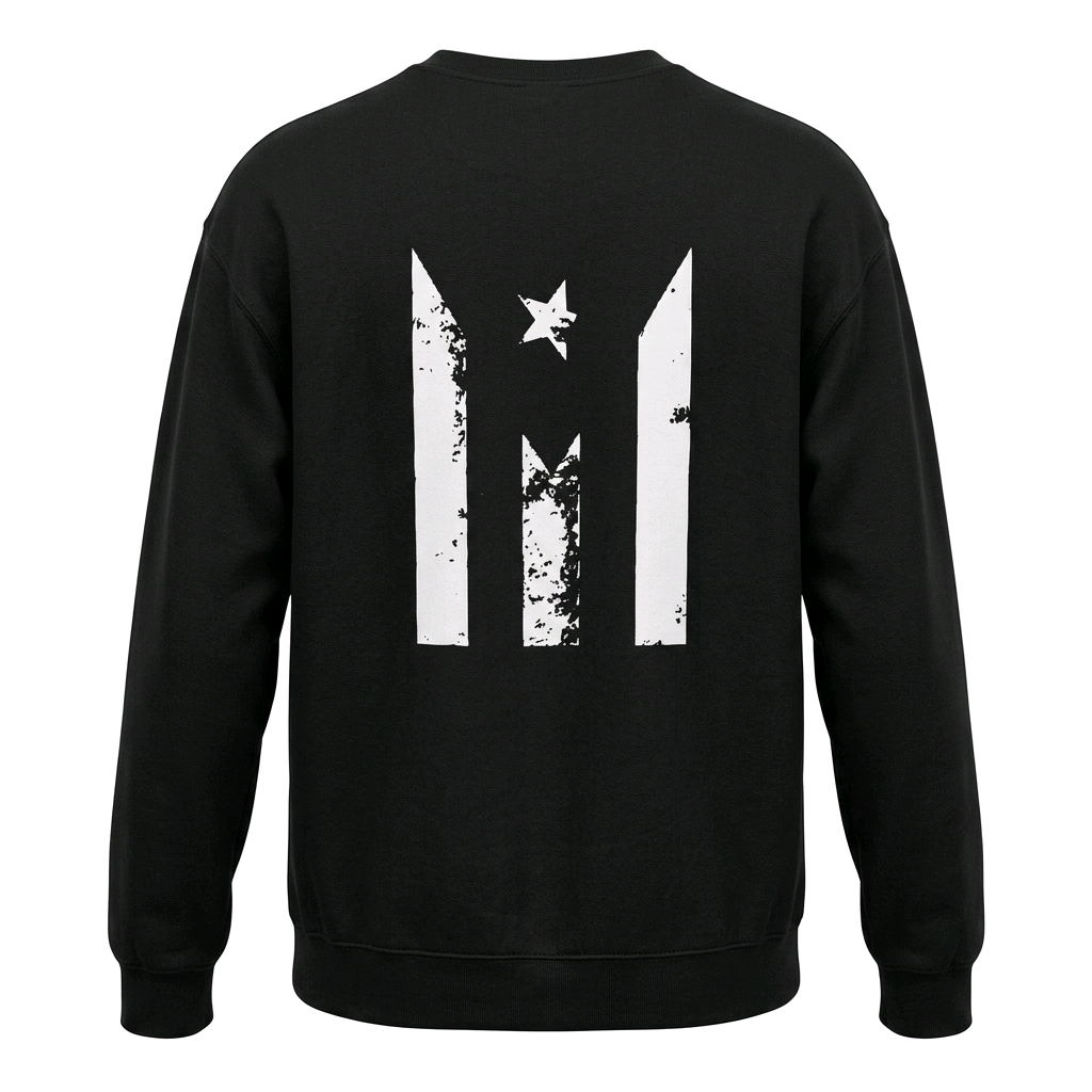Puerto rican flag and "Air Jibaro"
